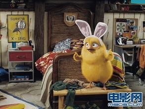 拯救小兔 在线观看,一场温馨的冒险之旅  第1张