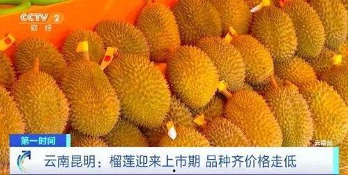 榴莲少爷爆料视频,揭秘视频背后的惊人真相 第1张 榴莲少爷爆料视频,揭秘视频背后的惊人真相 第1张