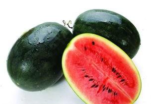 康县网红怎么吃瓜,康县网红教你如何品尝地道瓜果美味  第1张