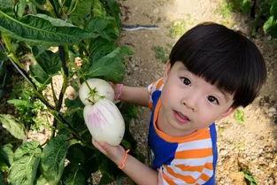 小小红娱乐吃瓜说 第3张 小小红娱乐吃瓜说 第3张